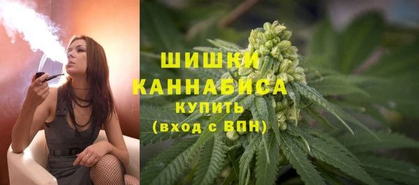 гидра Горнозаводск