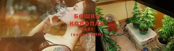 ALPHA PVP Богданович