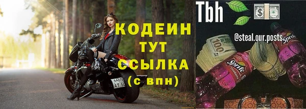 прущие грибы Богородицк