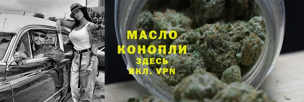 шишки Каменка