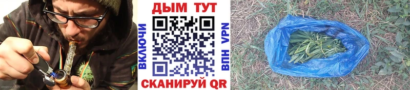 Канабис конопля Северск